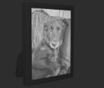 Customized Black & White Lithophane
